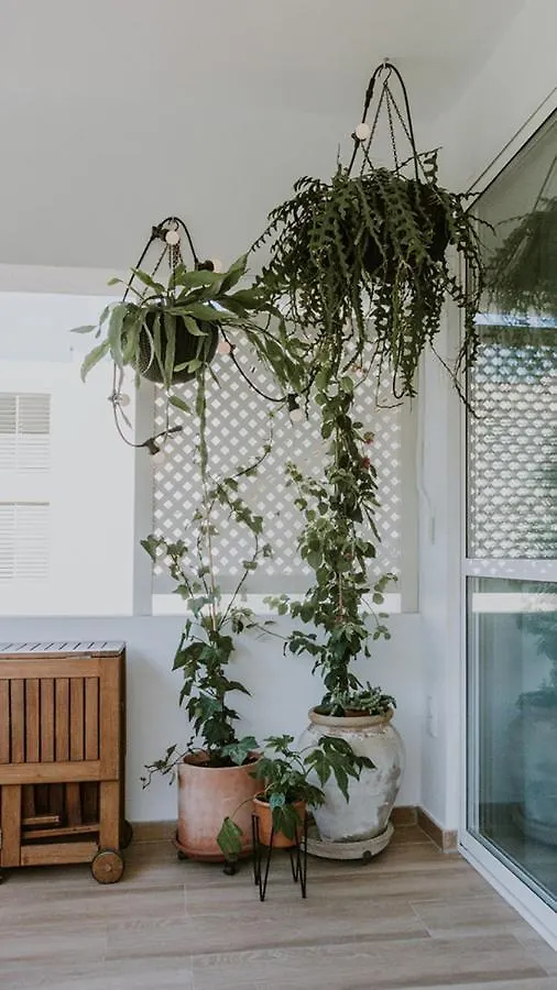 Lägenhet Bonito Apartamento En La Playa, Guadalmar. Málaga Spanien